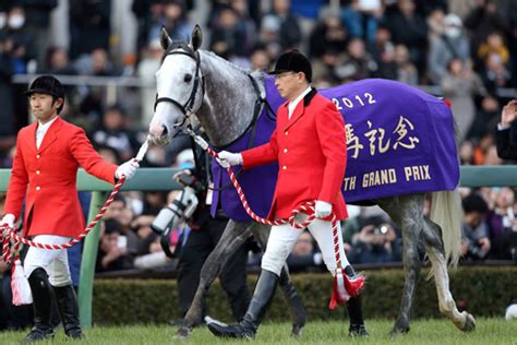 2014 馬|2014年の日本競馬